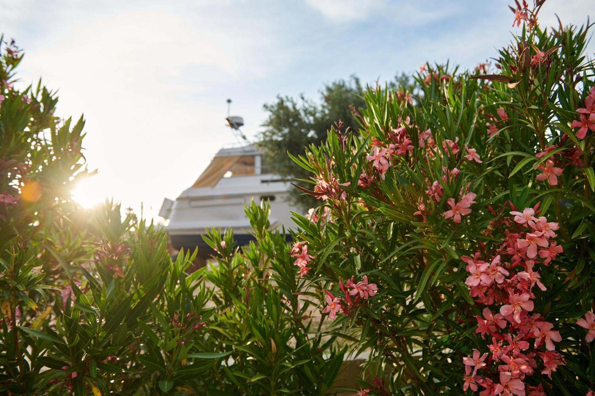 Cuchi-Barco Villa Morata de Tajuna Exterior photo